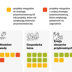Media wobec Kryzysów Klimatycznych: Jak Sprawozdawcy Mogą Zwiększyć Świadomość