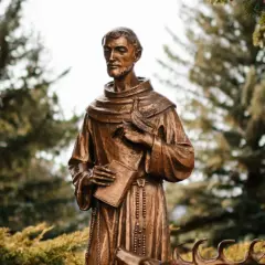 Kwiatki św. Franciszka: Dlaczego wciąż poruszają serca?