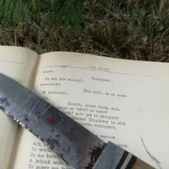 Balladyna: Pełne streszczenie i analiza. Jak żądza władzy niszczy?