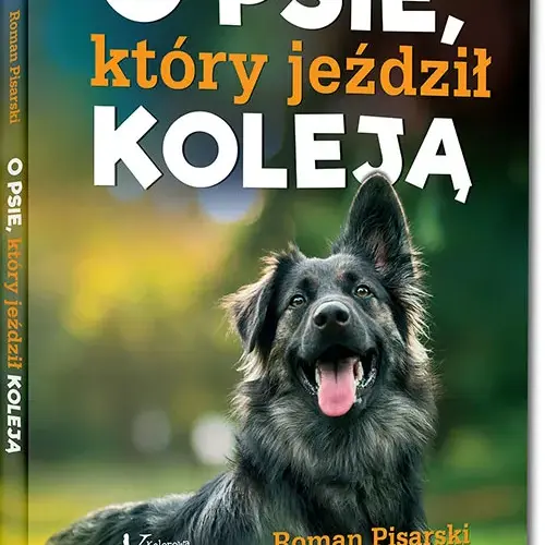 Kto jest autorem książki o psie, który jeździł koleją? Roman Pisarski i jego dzieło