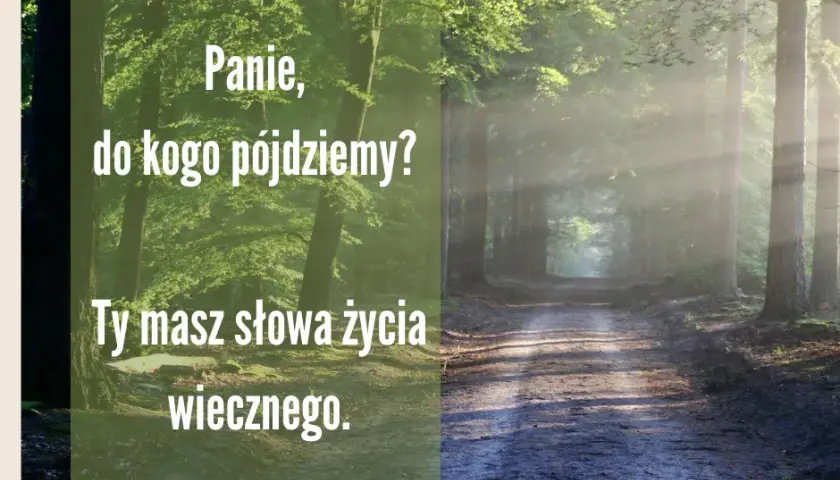 Jak do góry dnem wszystko zmieniło sens w trudnych chwilach życia