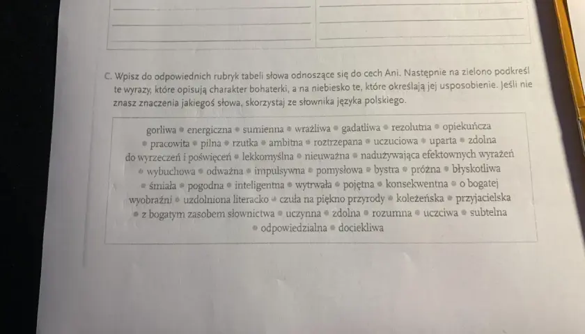 Ania Shirley: Charakterystyka. Dlaczego wciąż inspiruje?