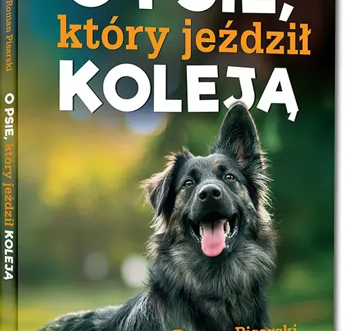 Kto jest autorem książki o psie, który jeździł koleją? Roman Pisarski i jego dzieło