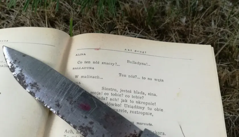 Balladyna: Pełne streszczenie i analiza. Jak żądza władzy niszczy?