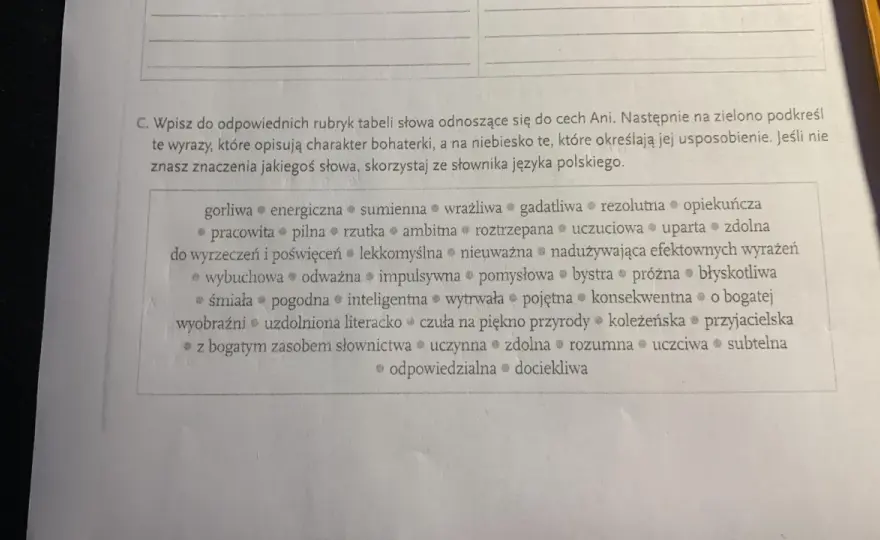 Ania Shirley: Charakterystyka. Dlaczego wciąż inspiruje?
