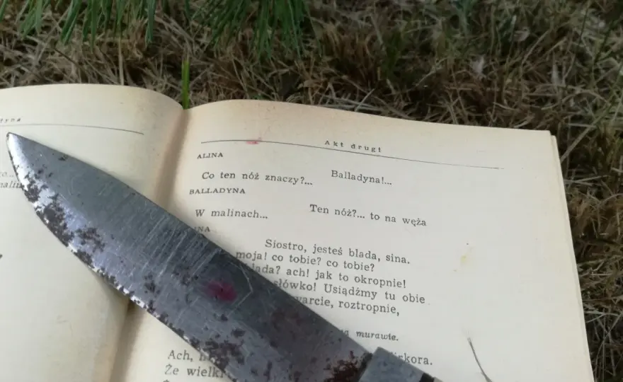 Balladyna: Pełne streszczenie i analiza. Jak żądza władzy niszczy?